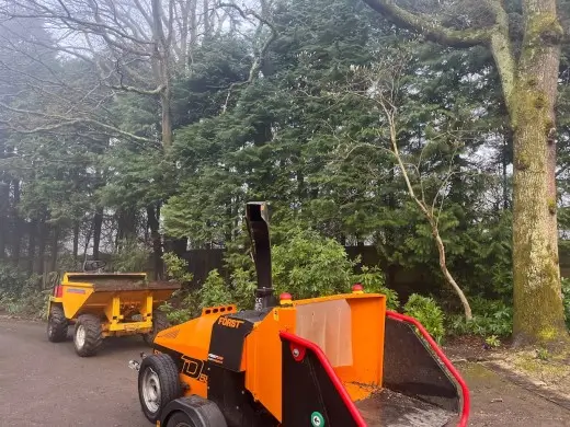 Dr Jones Tree Surgery Felling