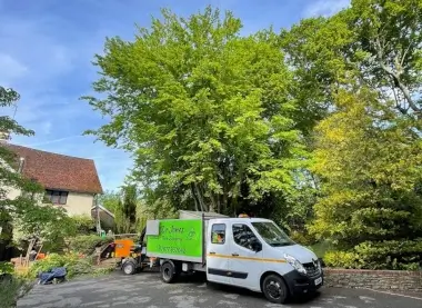 Dr Jones tree surgery customer reviews